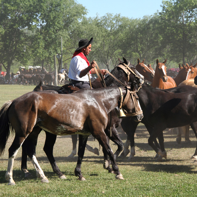 La Pampa